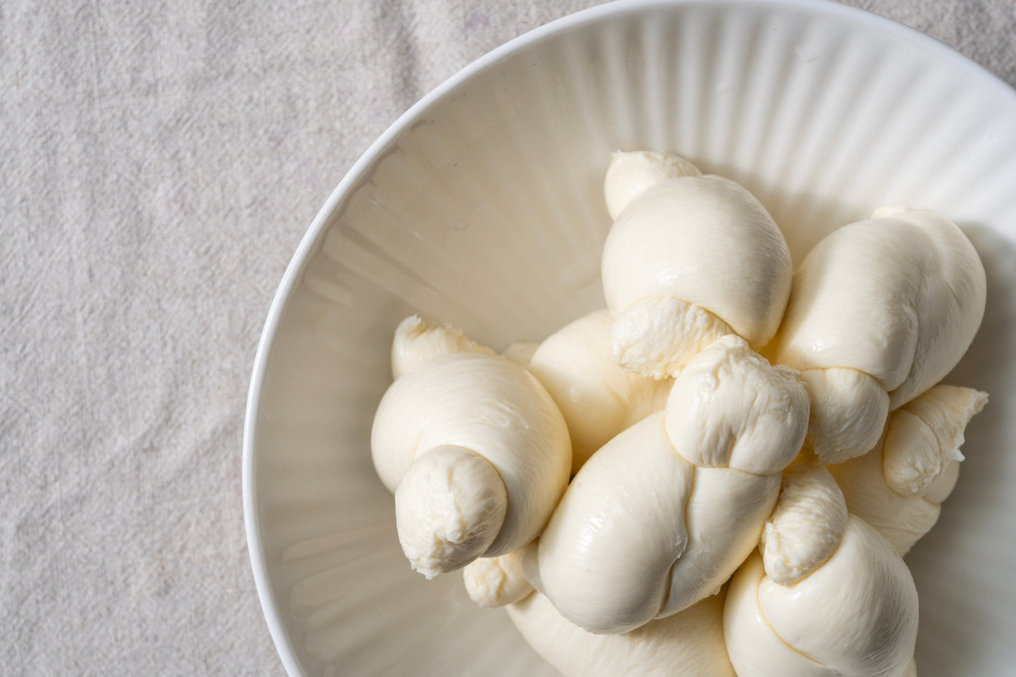 Nodini 'Mozzarella Knots' BOX